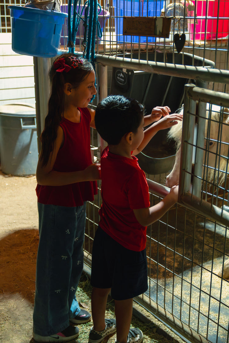 Two kids feeding a pony through the fence at a ranch day